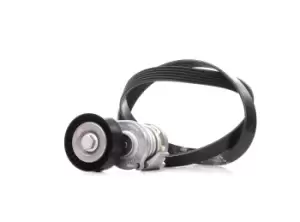 Image of INA V-ribbed belt set VW,AUDI,SKODA 529 0475 10 030145933E,030145933G,030145933L 030145933M,030145933R,030145933T,038903315AD,038903315AG,038903315AH