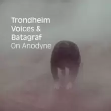 Image of On Anodyne
