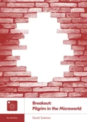 Image of breakout pilgrim in the microworld