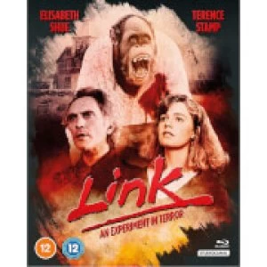 Image of Link 2020