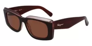 image of Salvatore Ferragamo Sunglasses SF 1079S 211