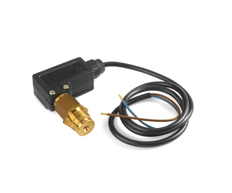 Image of DT Spare Parts 1.18366 Pressure Switch Pressure Switch (2440)