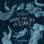 Image of what we see in the stars an illustrated tour of the night sky