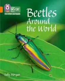 Image of Beetles Around the World : Band 06/Orange