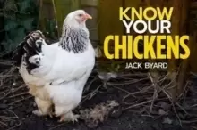 Image of Know Your Chickens