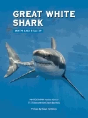 Image of great white shark myth and reality