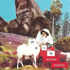 image of Mourning Mountain by Joy as a Toy CD Album