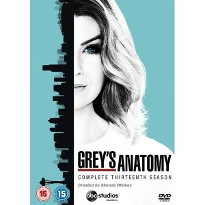 Image of Grey's Anatomy Season 13 DVD