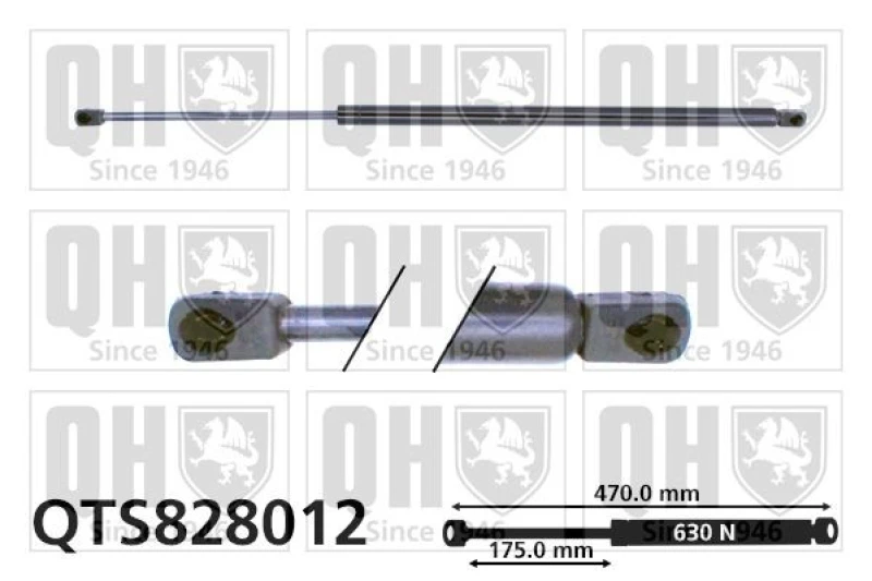 Image of QUINTON HAZELL Tailgate strut QUINTON HAZELL QTS828012