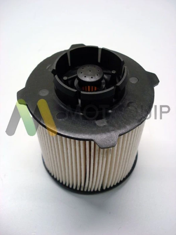 Image of MOTAQUIP Fuel filter MOTAQUIP LVFF700