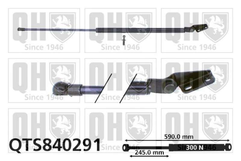 Image of QUINTON HAZELL Tailgate strut QUINTON HAZELL QTS840291