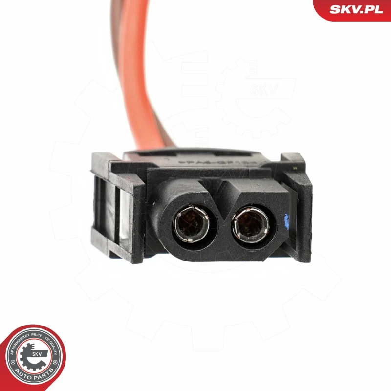 Image of ESEN SKV Blower motor ESEN SKV 68SKV089