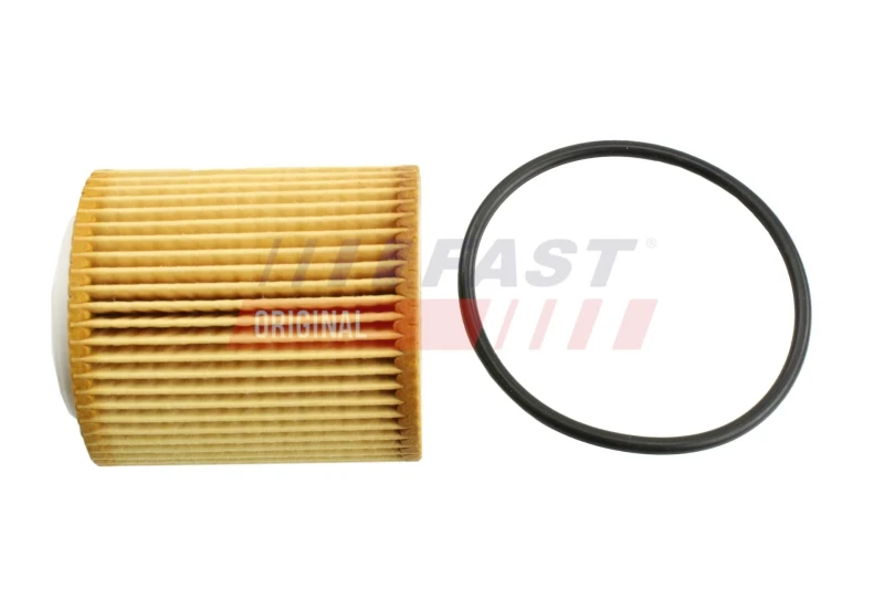 Image of FAST Oil filter FAST FT38100