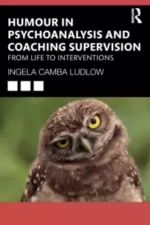 Image of Humour in Psychoanalysis and Coaching Supervision : From Life to Interventions