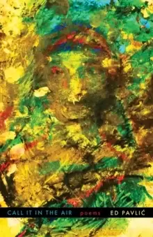 Image of Call It in the Air : Poems