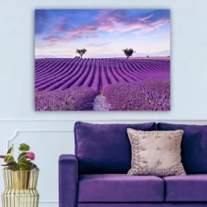 Image of 509596870_70100 Multicolor Decorative Canvas Painting