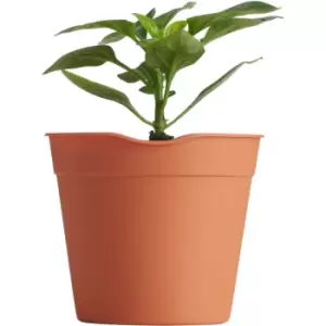 Image of Clever Pots Mini Easy Release Pots 5 Pack Garden & Outdoor
