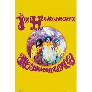 image of Jimi Hendrix - Experience Maxi Poster