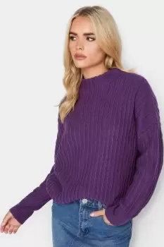 image of Petite Turtle Neck Jumper