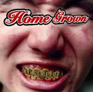 Image of Kings of Pop by Home Grown Vinyl Album