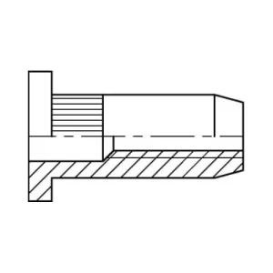 image of Qualfast M4 Steel Large Head Knurled Rivet Nut (Box-500)