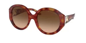 image of Ralph Lauren Sunglasses RL8188Q 502374