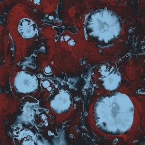 Image of Infinite by The Black Queen CD Album
