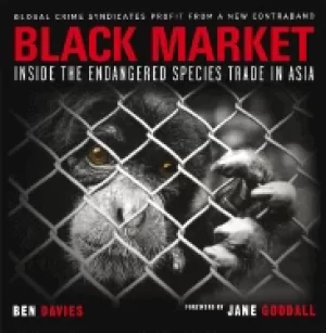 Image of black market inside the endangered species trade in asia