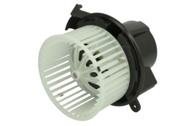 Image of THERMOTEC Blower motor THERMOTEC DDM042TT