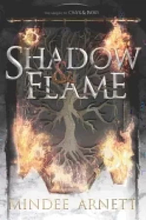 Image of shadow and flame
