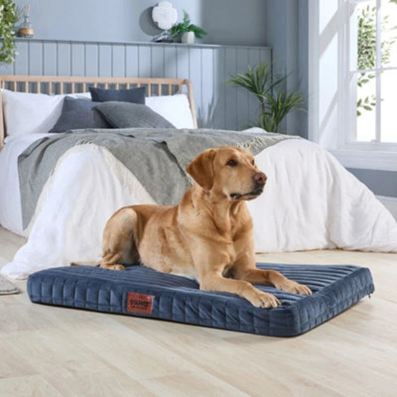 Image of Slumberdown Paws for Slumber Large Orthopedic Pet Bed Navy
