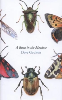 Image of A Buzz in the Meadow by Dave Goulson Hardback