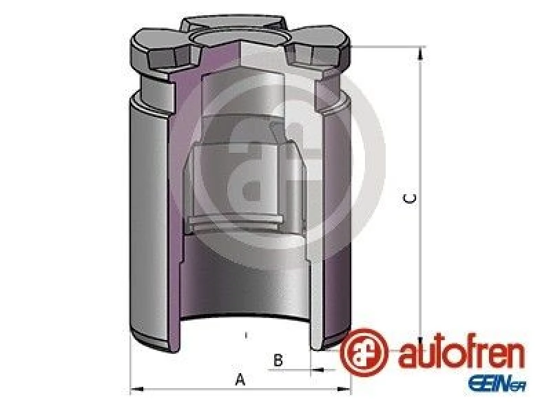 Image of AUTOFREN SEINSA Brake caliper piston AUTOFREN SEINSA D025780