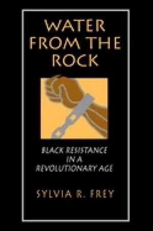 Image of water from the rock Black resistance in a revolutionary age