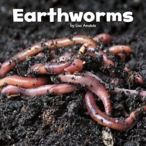 Image of Earthworms by Lisa J Amstutz