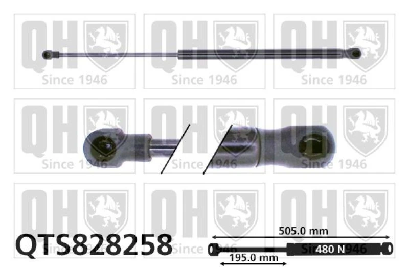 Image of QUINTON HAZELL Tailgate strut QUINTON HAZELL QTS828258