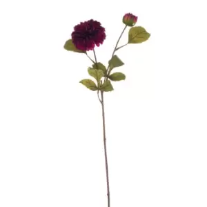 Image of Deep Purple Dahlia Stem