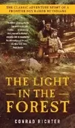 Image of light in the forest