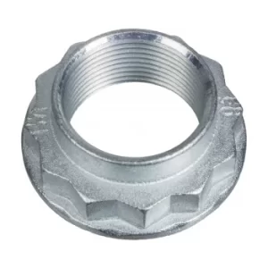 Image of Axle Nut drive shaft stub 12181 by Febi Bilstein