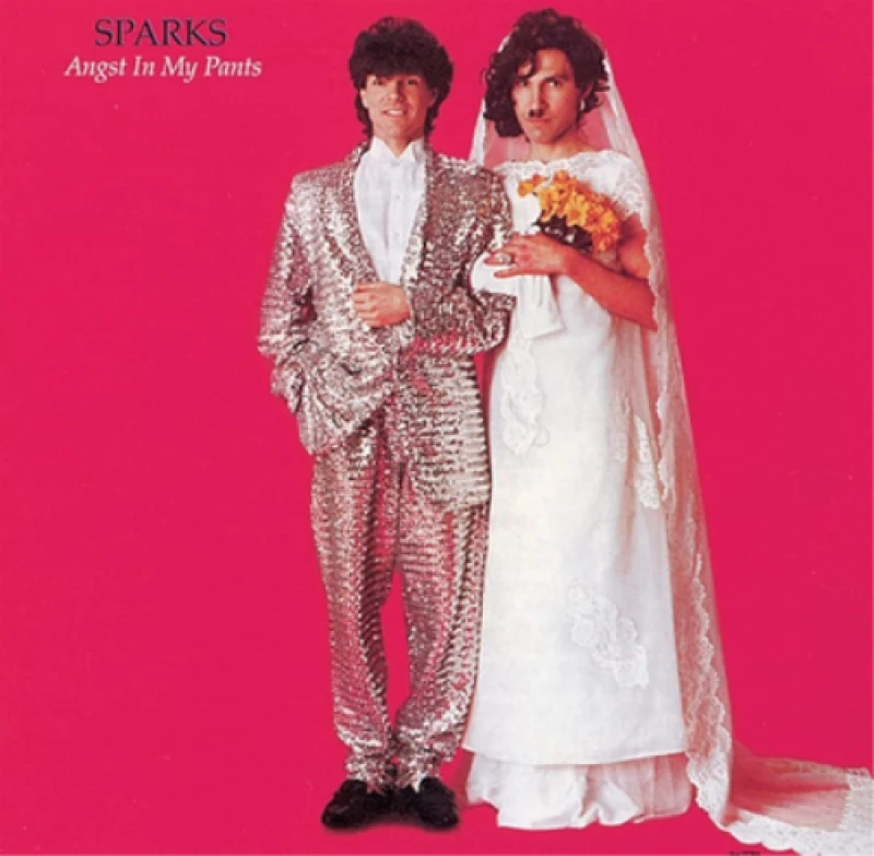 Image of Angst in my pants Vinyl