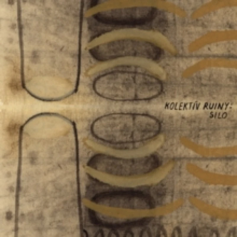 Image of SILO Vinyl