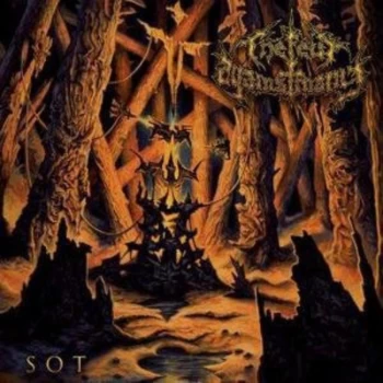 Image of Few Against Many - Sot Vinyl