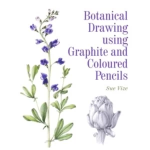 Image of Botanical Drawing Using Graphite and Coloured Pencils