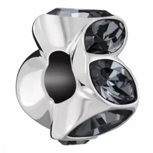 Image of Chamilia Reflections Silver Night Crystal Accent Charm
