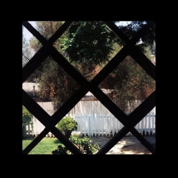 Image of Psychic Temple - III Vinyl