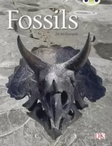 Image of Bug Club Guided Non Fiction Year Two Gold A Fossils