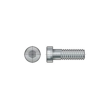 Image of M12X30 Skt Low Head Cap Screw (GR-8.8)- you get 5 - Qualfast