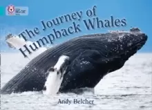 Image of The Journey of Humpback Whales : Band 07/Turquoise