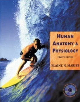 Image of Human Anatomy and Physiology by Elaine Nicpon Marieb Paperback