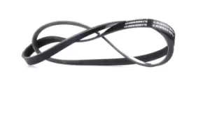 Image of RIDEX V-ribbed belt 305P0211 Serpentine belt,Auxiliary belt PEUGEOT,HYUNDAI,CITROEN,605 (6B),SANTA FE I (SM),TRAJET (FO),SONATA IV (EF)